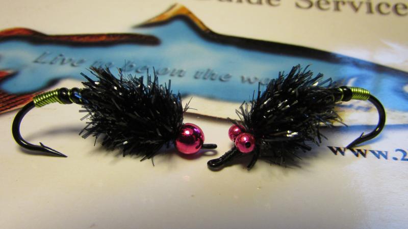 stonefly for salmon, pulaski, NY, salmon river, oswego river, king salmon