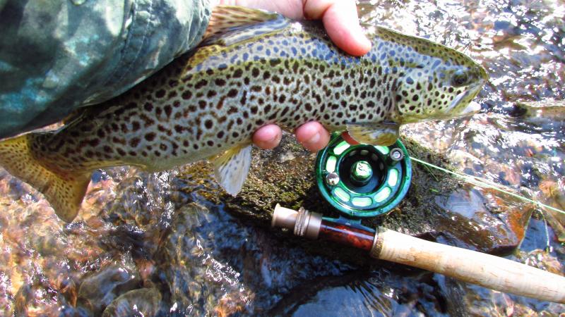 Schuylkill River, SKUKE, 