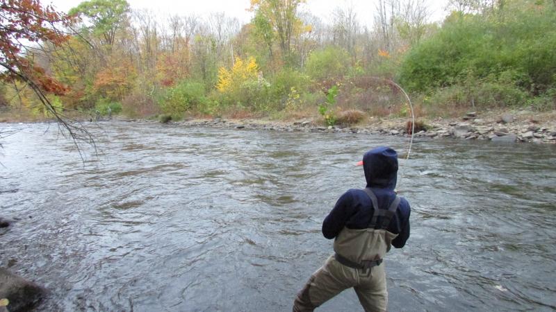 salmon river, king salmon, coho salmon, FISH ON, Pulaski, Salmon River