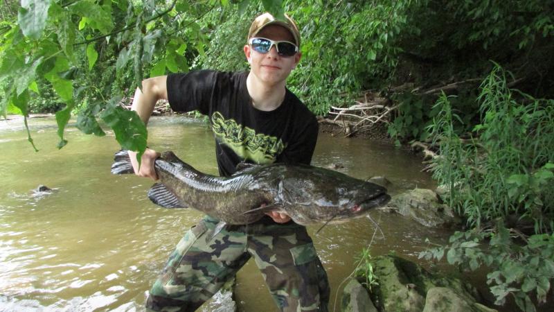 flathead catfish, monster fish, flatheads, schuylkill river flathead catfishing