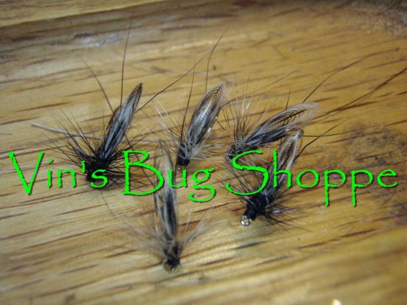 little black stoneflies