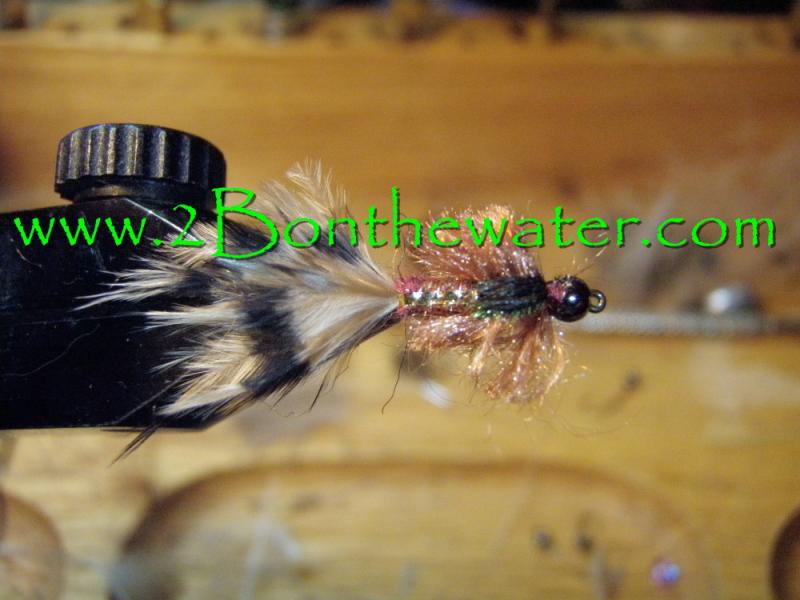 Hatcher nymph, emerger, hatcher, nymph