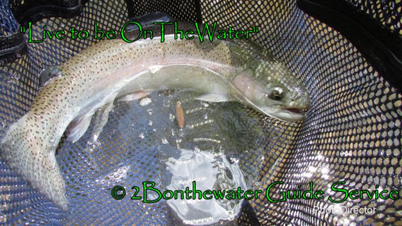 PFBC, trout stocking, wild brown trout, dry fly, slate drake, bass fishing
