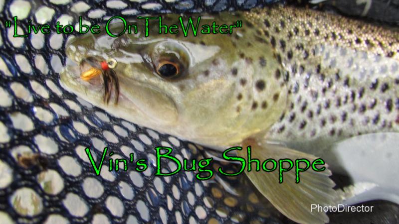 brown trout, PFBC stocked trout, pellethead, soft-hackle fly, orange and grouse